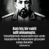Omer Gezer🇹🇷🇵🇸's profile picture