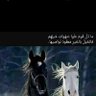 أبو العواصف's profile picture