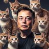 Фото профиля Elon Musk Love Cat ☀️