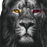 semra Karakiz⭐️⭐️⭐️⭐️⭐️💛❤️🦁 profil fotoğrafı