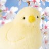 Фото профиля もふもふ毛玉