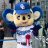 まいちあむ's profile picture