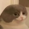 Gooper's profile picture