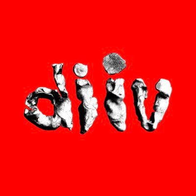 diiv's profile picture