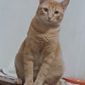 Profilbild von ELECTRA