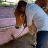 Uttekar profil fotoğrafı