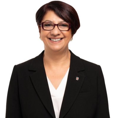 ProfDrIsilZybek's profile picture