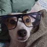 Padrinho profil fotoğrafı