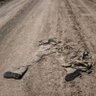 Dirt 的头像