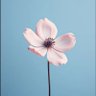 Petaleax's profile picture