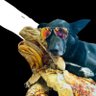 Profilbild von Jesse