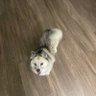 Milk's profile picture