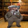 Profilbild von DocOnTheRange