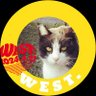 Profilbild von 猫袋チッチ