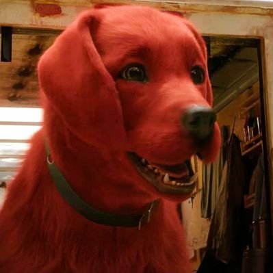 i_itukura's profile picture