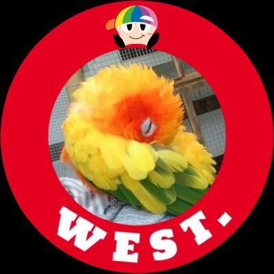 willow11290626's profile picture