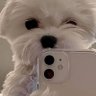 Profilbild von panconqueso