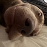 Profilbild von Jay
