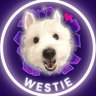 westie🐾's profile picture