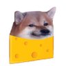 🇨🇭 naFONDUE 🧀's profile picture