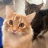 oeryon profil fotoğrafı