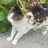 みぃみ profil fotoğrafı
