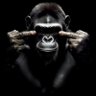 Profilbild von MonkeyMoney