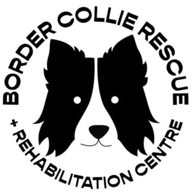 Diane Hart Collie Dog Rescue, Wales's profile picture