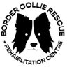 Diane Hart Collie Dog Rescue, Wales profil fotoğrafı