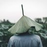 Poyo 的头像