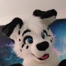 pongo pup ็ๅคดๅ