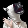 まえのめりぃ's profile picture