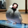 株💹庶民派投資家🥸's profile picture