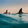 Фото профиля Ben Darland