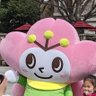 桑原和信 的头像