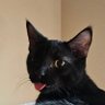 mcarter8246's profile picture