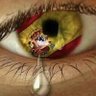 vidalchumi🇪🇸 的头像