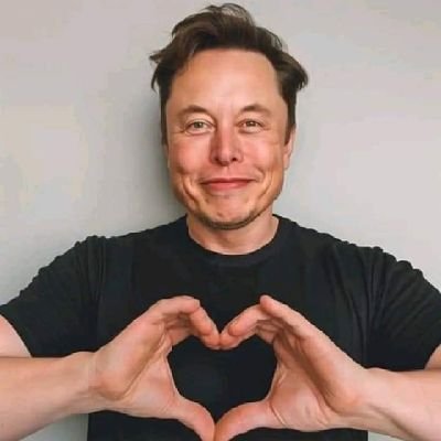 plutochief's profile picture