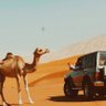 يحيى بن راشد 的头像