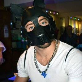 PupTosa's profile picture