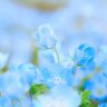 ラッコラッコ profil fotoğrafı