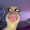 Profilbild von Christ Conscious