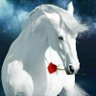 أبو الجود's profile picture