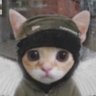 yeSir profil fotoğrafı
