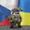 GeorgCZfella's profile picture
