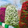 Фото профиля أبو مالك