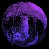 mushrooomdev 🍄 profil fotoğrafı
