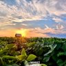 Фото профиля Cornbelt Marketing, Inc. 🇺🇸
