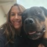 ANTONELLA VIVO's profile picture