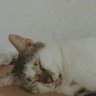 dumdumdudum 的头像